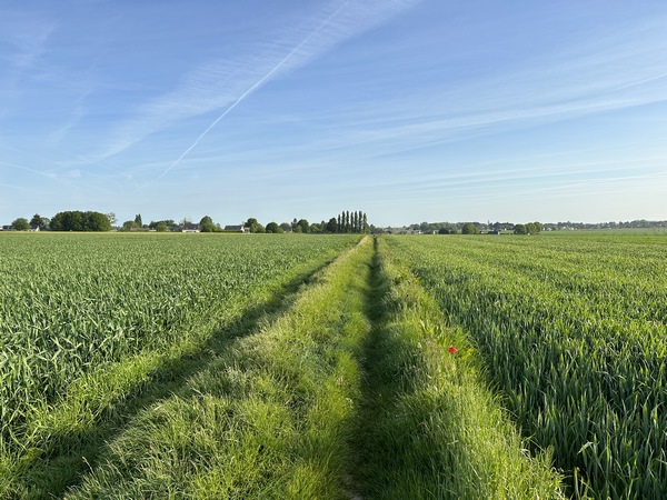 Nous marchons momentanément vers le nord, en direction du Vieux Bouquetot.