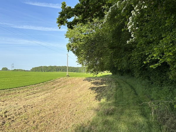 Nous suivons le chemin entre bois et champs en direction de la ferme des Fourges.