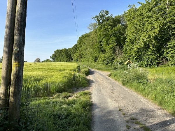 Après la ferme des Fourges, nous suivons la route du Site Gallo-Romain. Nous allons tourner ici sur le chemin de droite.