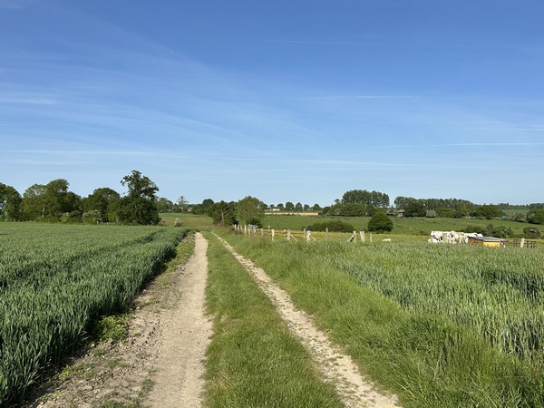 Le chemin nous conduit droit vers Illeville-sur-Montfort.
