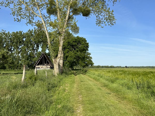 Nous quittons Illeville par l'antique (et charmant) Chemin de Brestot à Illeville.
