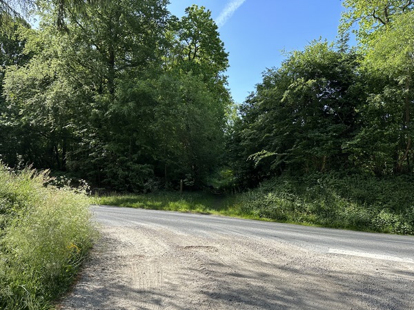 Nous traversons la D88 et allons continuer en face pour retrouver la route forestière de Cahaigne.