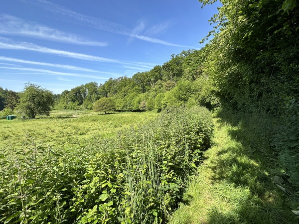 Nous longeons la vallée du Clérot en lisière de forêt.