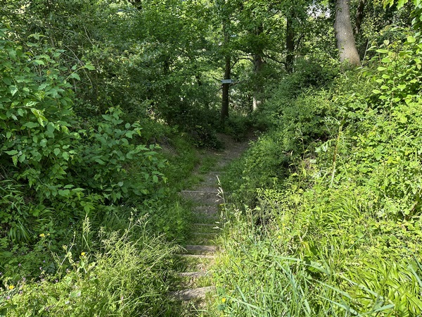 Un escalier relie directement le site du château au centre du bourg.