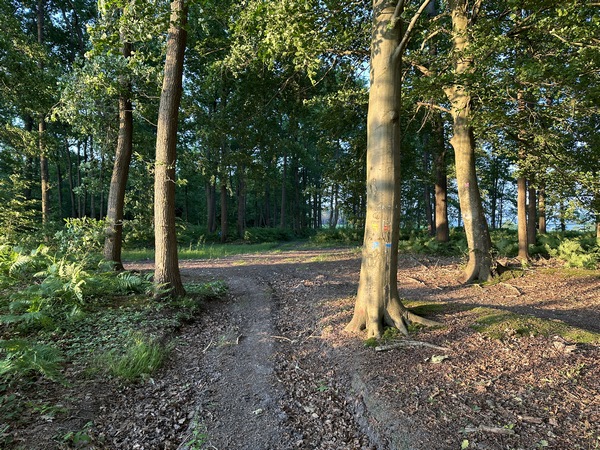 Le GR224 rejoint ici le GR26. Nous allons les suivre en tournant à droite, à angle aigu, pour descendre dans la vallée.