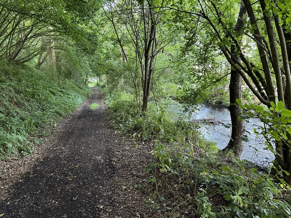 Bonne pioche ! Le chemin est très agréable, et par endroits se trouve très proche de la Charentonne.