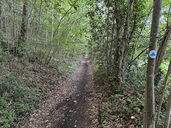 Les balises du Chemin nous ont rejoints au niveau du Moulin Fouret.
