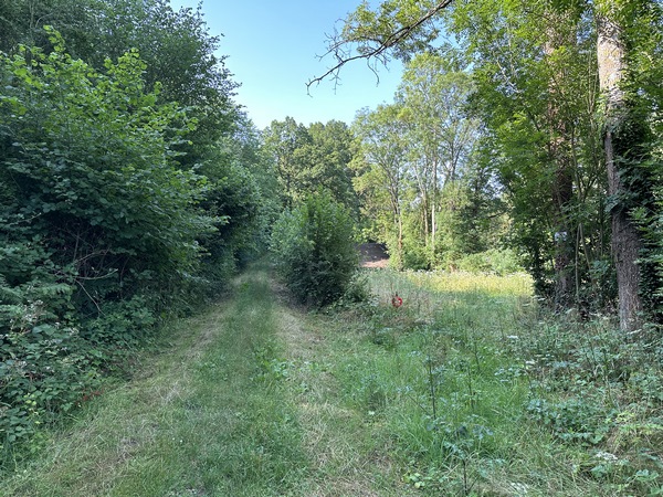 Peu après Broglie, la Voie Verte n'a pas encore été bitumée, ce qui n'est pas pour nous déplaire !