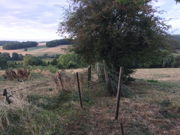 La descente dans le Val St-Pierre se fait par très petit chemin, concédé entre deux clôtures.