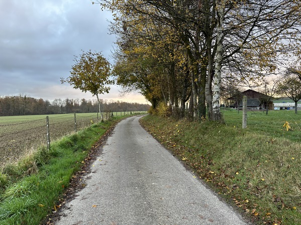 Nous sortons du bourg par l'impasse de la Vallée, impasse qui devient un chemin après la ferme.