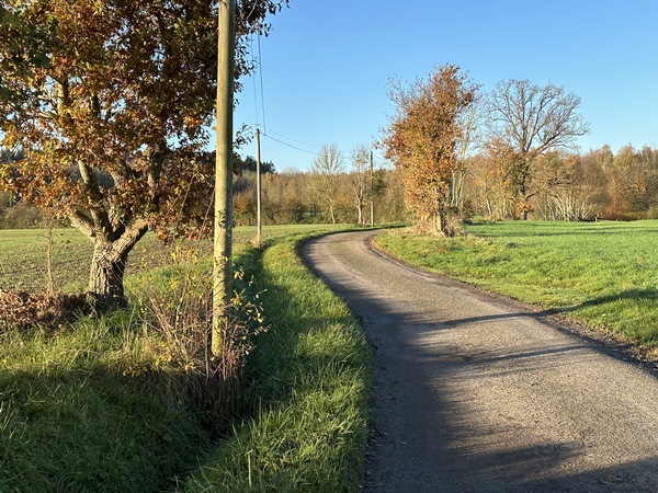 Nous suivons les petites routes en direction du bois de la Caboche.