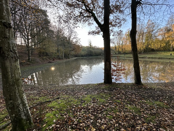 Au cœur du bois se trouve ce charmant petit étang. Deux tables de pique-nique&nbsp; permettent de faire une pause café en profitant de cette ambiance paisible.
