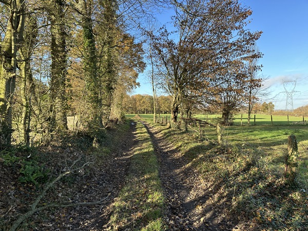 Près du hameau du Halbout, nous suivons une succession de chemins, plus charmants les uns que les autres, jusqu'à la ferme des Monts.