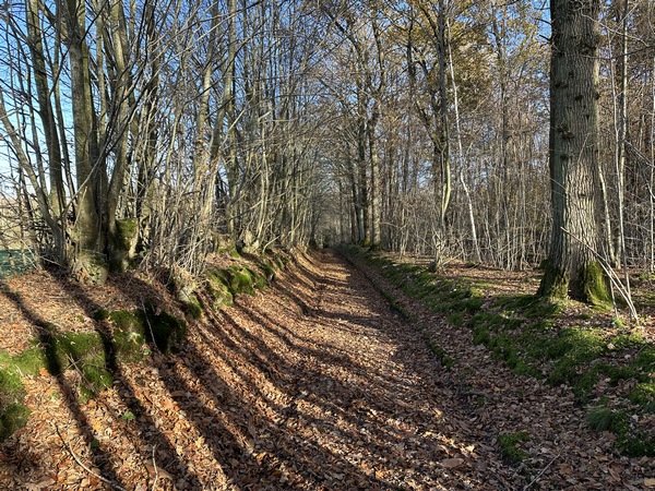 Après Les Monts, nous suivons le chemin qui passe entre les plaines des Franches Dîmes et de l'Enclos.&nbsp;