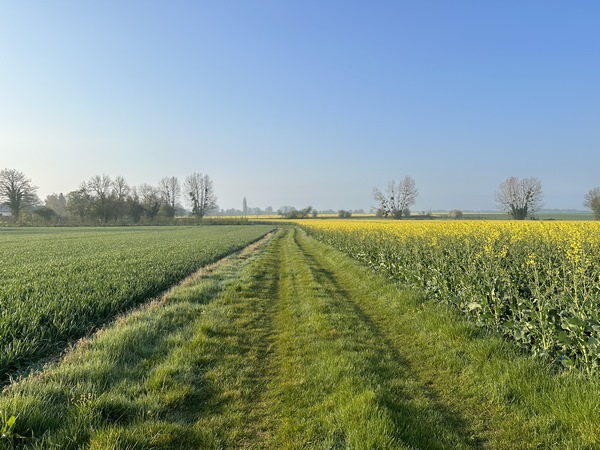 Je sors du bourg par la route de Brionne (D26), et tourne vers le sud sur ce chemin qui longe le village.