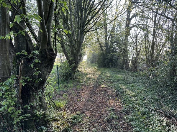 L'itinéraire est constitué de chemins de la plaine agricole, de petites routes et, plus rarement, de chemins ombragés comme ce chemin de la Ravottière.