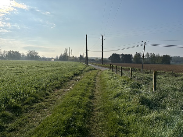 Je vais rejoindre la rue de la mairie de Saint-Nicolas-du-Bosc. Ce village fait, lui aussi, partie de la commune nouvelle du Bosc du Theil.