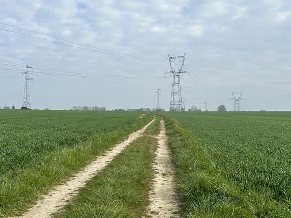 Je traverse la plaine agricole de l'Ente Marguerite, où poussent du maïs et des pylones.