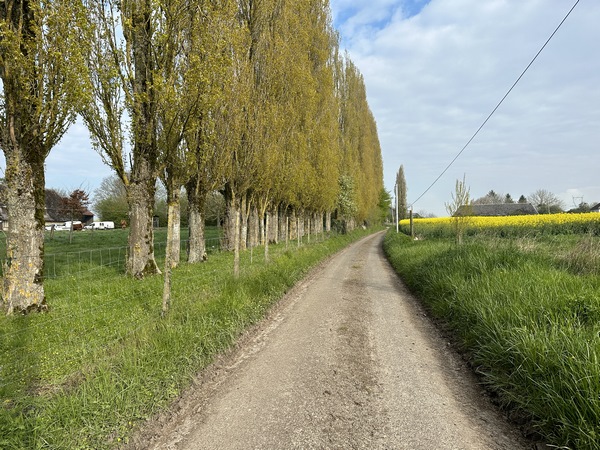 J'ai traversé la D26, et je contourne le village du Gros-Theil par le nord.