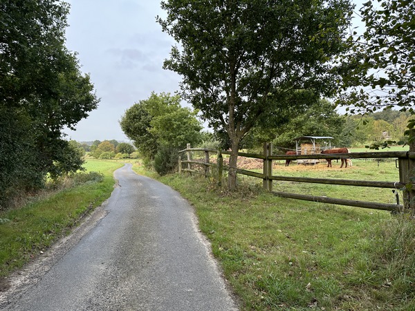 Nous suivons le chemin de la Bruyère en direction du hameau de Cambourg.