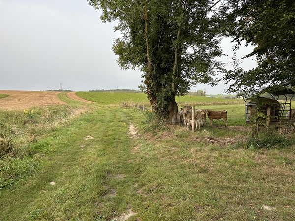 Nous traversons la grande plaine de la Noé pour prendre la direction du Pavier.