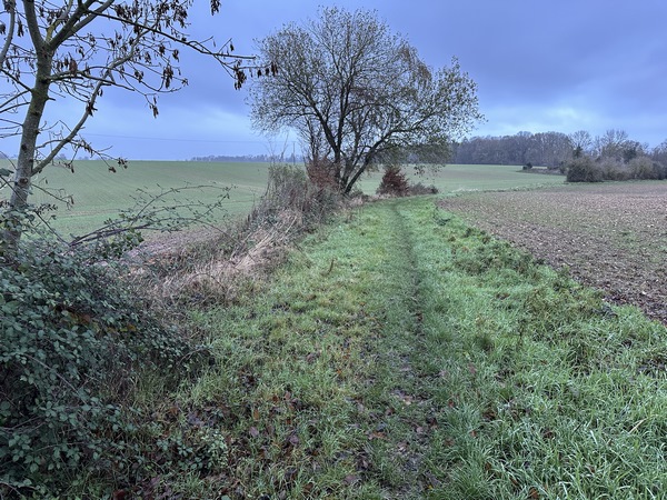 Nous marchons vers Infreville sur le chemin du Vivier. Avant d'entrer dans Infreville, nous tournerons sur le chemin des Boquets.