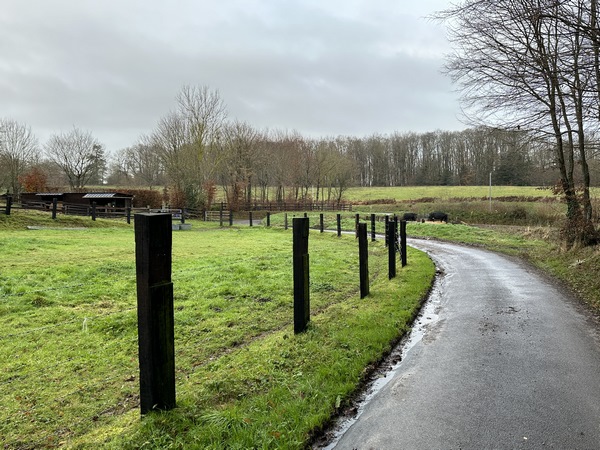 Nous suivons la rue de l'église en direction de la forêt domaniale.