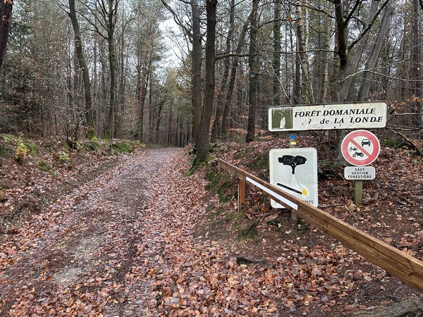 Entrée en forêt domaniale de La Londe - Rouvray.