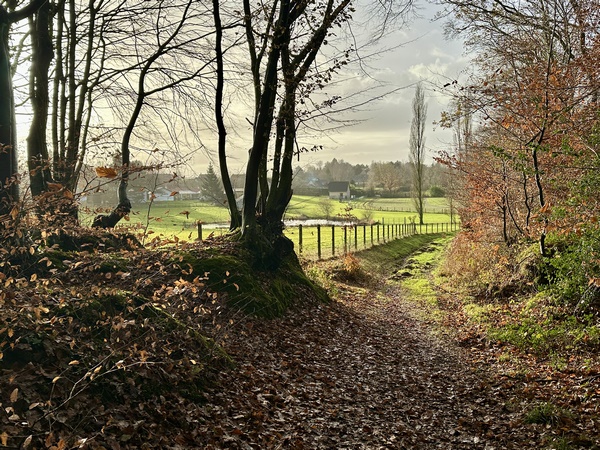 Nous sortons de la forêt au Val Caillouel.