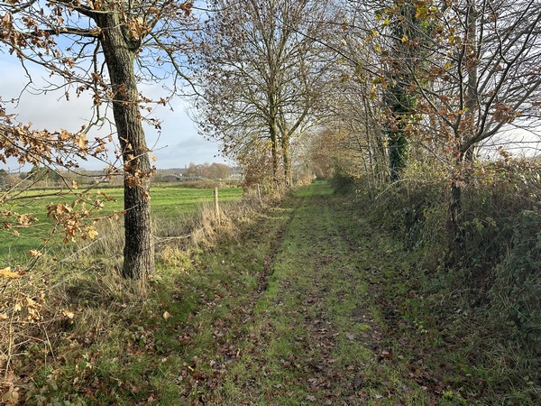 Depuis 2019, le circuit ne traverse plus la D438, et alterne les petites routes, les rues et les chemins au nord de Bourgtheroulde.