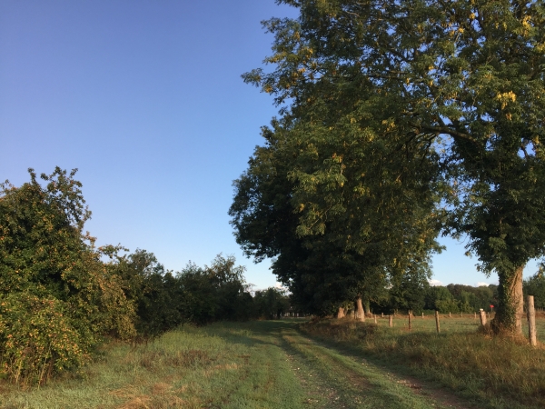Nous partons du parking de l'église de Trouville-la-Haule, et partons vers le nord-ouest sur les chemins qui traversent le plateau.