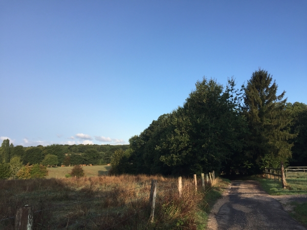 Chemin de la Langerie, nous avons rejoint le GR23.