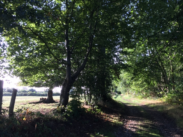 Nous avons changé de sens et marchons maintenant vers le sud-est, non loin de la Seine.