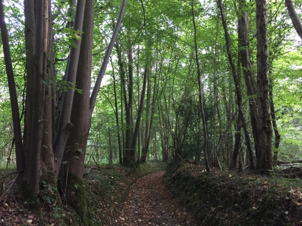 Nous descendons vers le Grand Tendos et la vallée du Cailly.