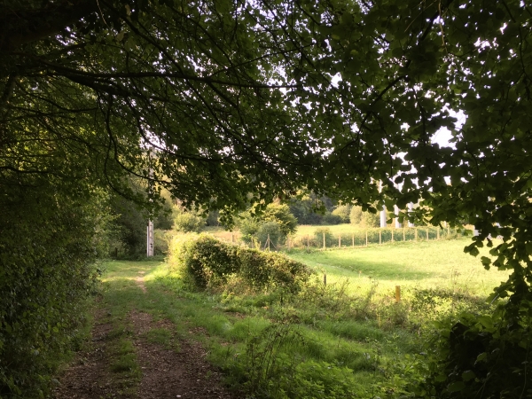 Nous arrivons dans la vallée de la Clérette et suivons le chemin des Fontaines des Fresnes.