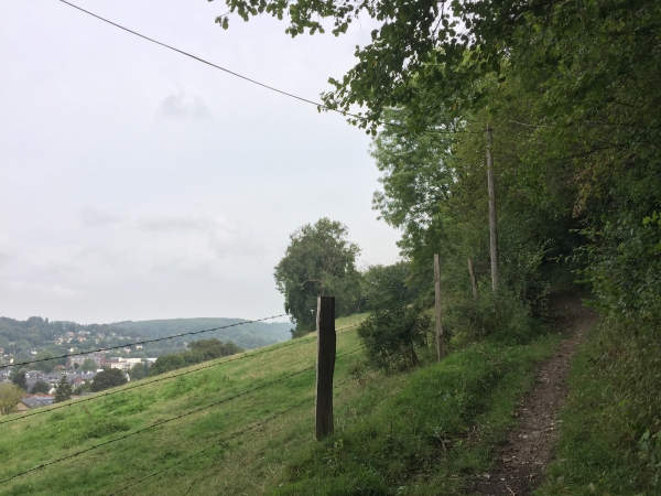 Nous entrons dans le bois de la Côte de Malaunay.