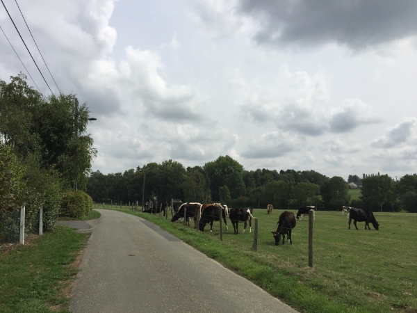 Nous sommes sur le plateau, rue des Audines, et nous allons rejoindre le GR210.