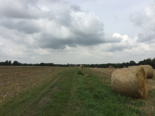 Nous avons rejoint le GR210 et nous dirigeons vers le bois Saint-Maurice.