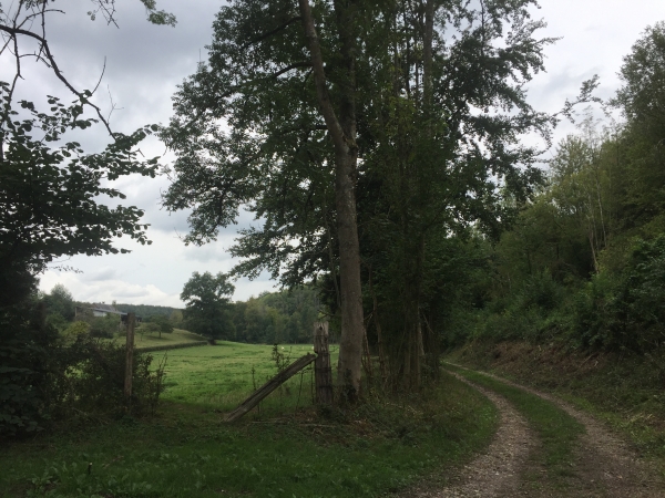 A gauche se trouve l'essart du Bosc aux Moines.