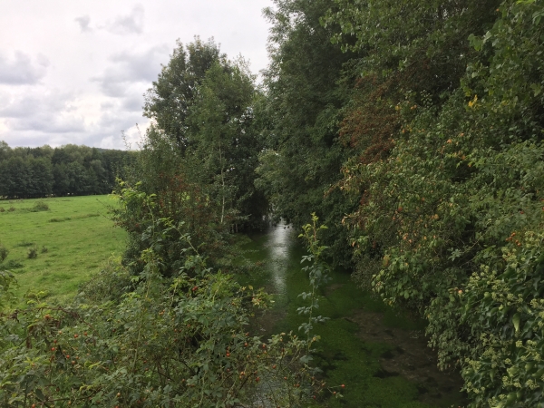 Un autre bras du Cailly. La vallée du Cailly utilisait de nombreux moulins, pour son industrie textile en particulier. Les différents bras du Cailly étaient donc bien utiles.