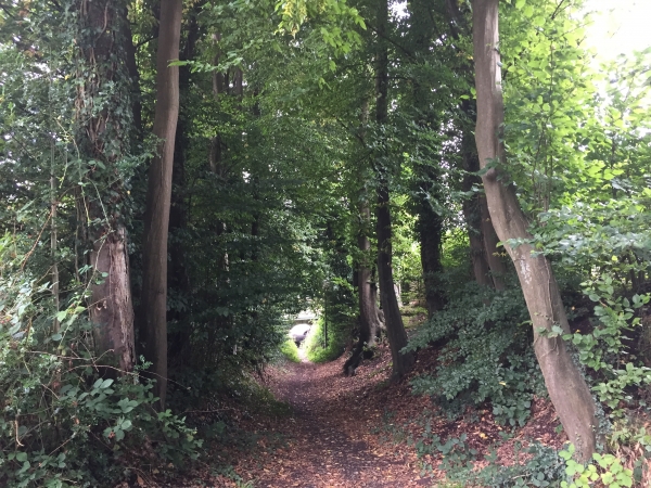 Nous sommes revenus à Malaunay, et nous suivons le chemin de Bourgay qui passe sous la voie Malaunay-Dieppe. C'est à Malaunay que la ligne de Paris bifurque vers le Havre ou vers Dieppe.
