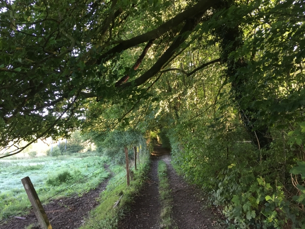 Le chemin de la Fontaine-des-Frênes avance aux pieds de la Côte du Mont Cauvaire, le long de la vallée de la Clérette.