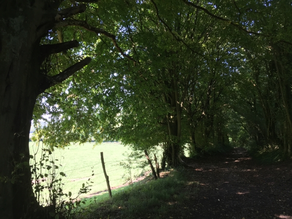 Nous montons vers la chapelle Saint-Sauveur par le chemin de la Folie. La Folie est le nom d'une partie de l'ancien parc du château du Fossé, juste au-dessus de nous. De nombreuses folies ont été construites au XIXe siècle, il s'agissait de pavillons originaux, souvent de style néo-classique, qui abritaient parfois une bibliothèque, un observatoire...