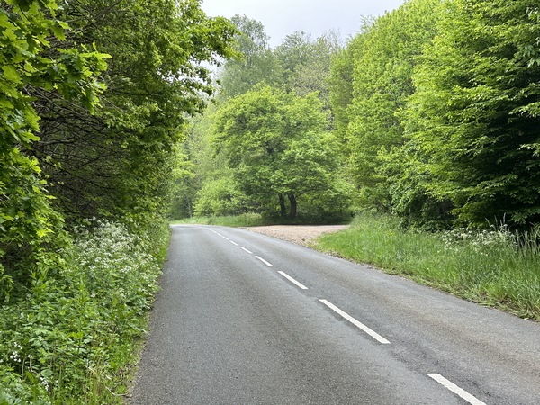 Nous suivons la D321 sur quelques mètres, pour rejoindre le chemin de la Coudrette que l'on voit déjà à droite.