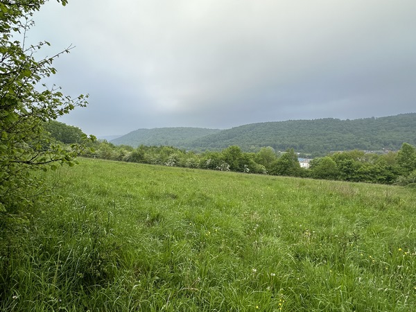 Coup d'œil sur la vallée du Cailly.