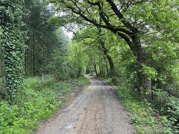 Nous continuons sur le chemin de la Ruaudière.