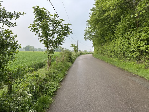 La rue Audière avance dans les paysages du plateau de Malaunay. Ce n'est pas désagréable, la circulation est minimale, mais la petite route est plutôt rectiligne, et n'a pas d'accotement aménagé.