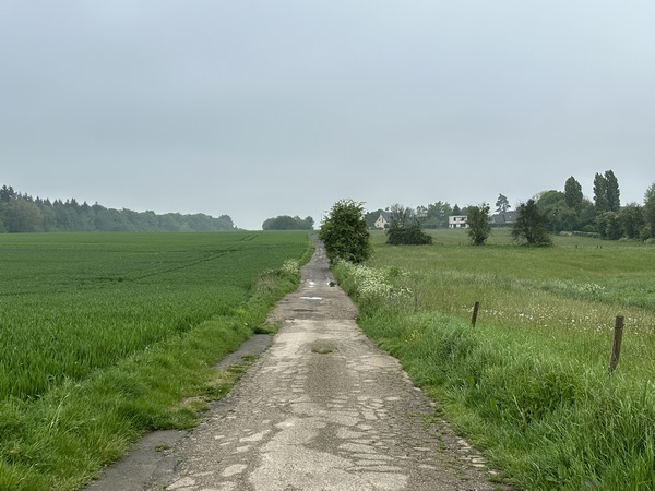 Nous rejoignons le GR210 qui va nous conduire jusqu'à Houppeville, que l'on devine déjà en face.