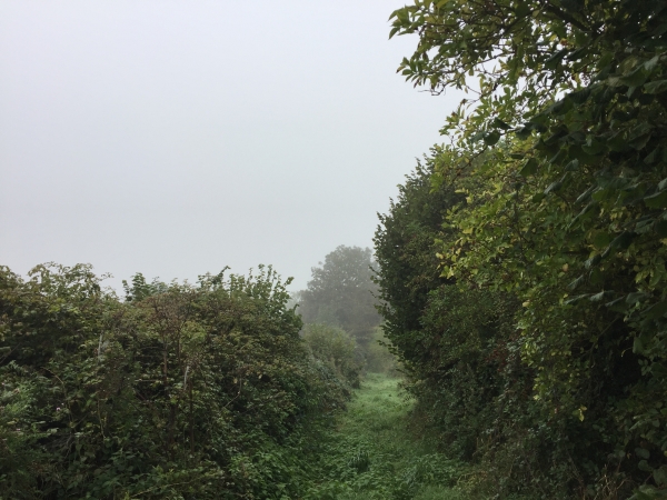Nous suivons les balises jaunes du circuit des Trois Clochers pour sortir du Bosc-Roger-en-Roumois.