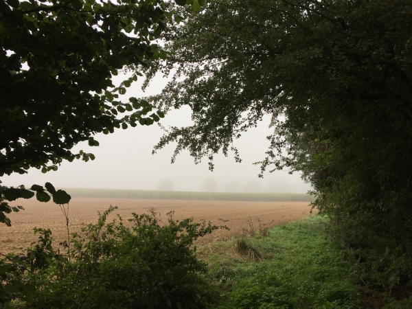 Nous rejoignons Bosnormand. Notre chemin longe le bourg par le sud.